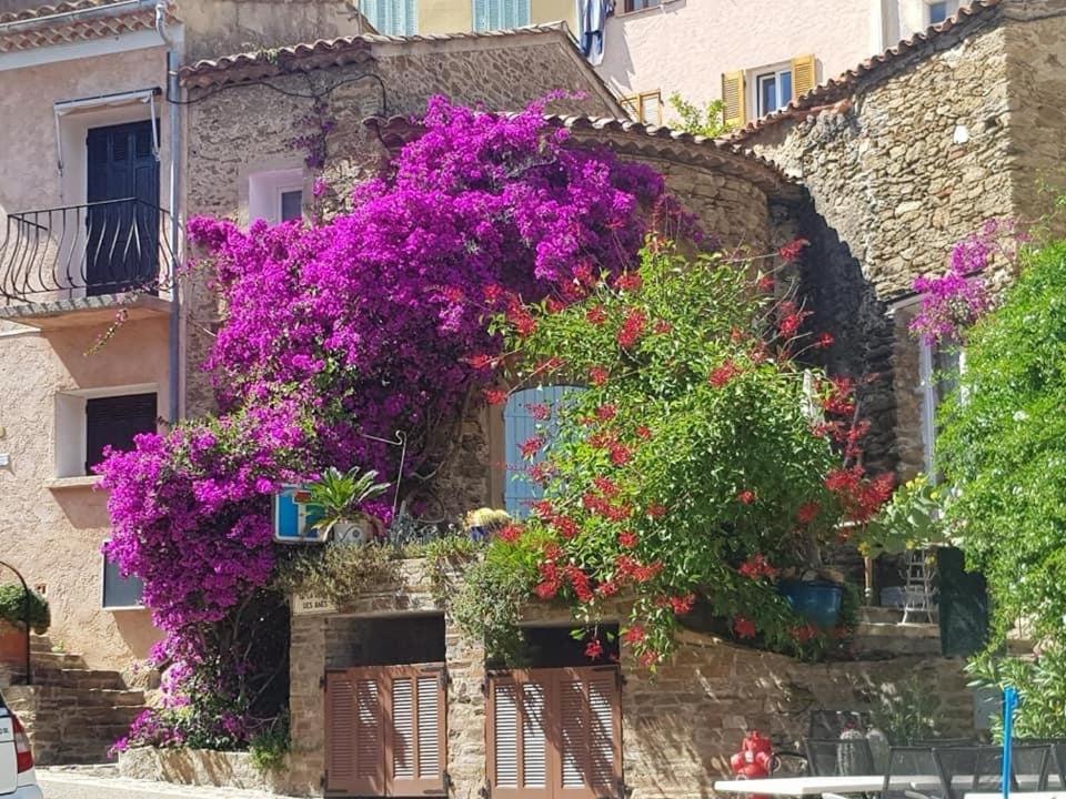 maison vacance Médiévale Bormes-les-Mimosas village Exterior foto