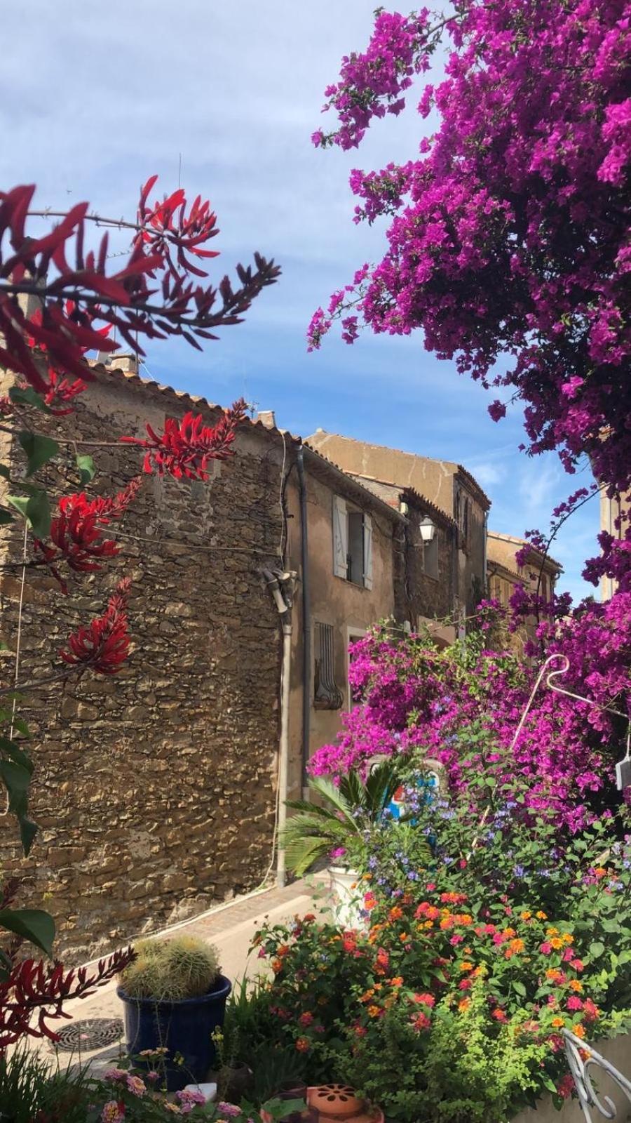 maison vacance Médiévale Bormes-les-Mimosas village Exterior foto